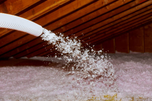 Best Cellulose Insulation in Harvey, IL